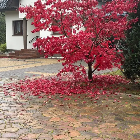 Aurelia I W Mielenku - Blisko Plazy Lodge Mielno (Koszalin)