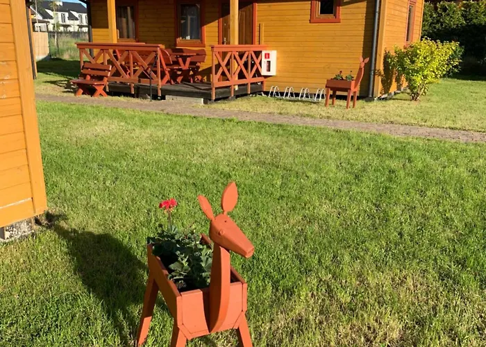 Aurelia Goscinne I Letniskowe *